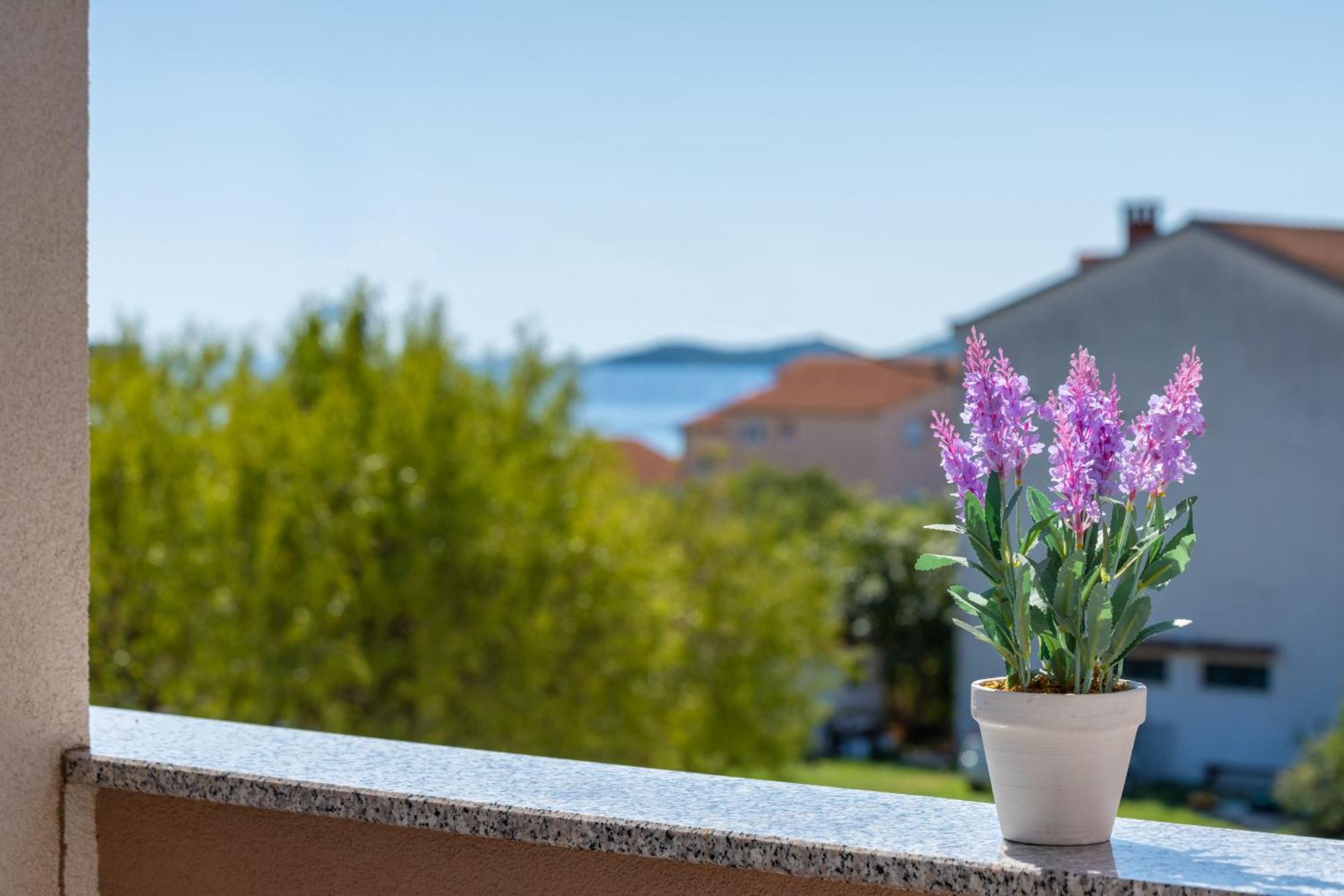 Apartmani Pocrnic Pakoštane Εξωτερικό φωτογραφία